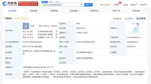 螞蟻集團子公司資本激增9900%，加速布局信息系統集成服務